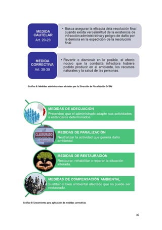 30
Gráfico 8: Medidas administrativas dictadas por la Dirección de Fiscalización DFSAI
Gráfico 9: Lineamiento para aplicación de medidas correctivas
 