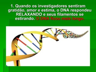 1 .  Quando os investigadores sentiram gratidão, amor e estima, o DNA respondeu RELAXANDO e seus filamentos se estirando.  O DNA ficou mais longo . 