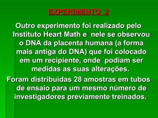 EXPERIMENTO 2
   Outro experimento foi realizado pelo
 Instituto Heart Math e nele se observou
    o DNA da placenta humana (a forma
   mais antiga do DNA) que foi colocado
    em um recipiente, onde podiam ser
       medidas as suas alterações.
Foram distribuídas 28 amostras em tubos
   de ensaio para um mesmo número de
  investigadores previamente treinados.
 