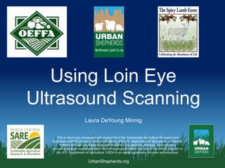 UrbanShepherds.org
Using Loin Eye
Ultrasound Scanning
This product was developed with support from the Sustainable Agriculture Research and
Education (SARE) program, which is funded by the U.S. Department of Agriculture — National
Institute of Food and Agriculture (USDA-NIFA). Any opinions, findings, conclusions or
recommendations expressed within do not necessarily reflect the view of the SARE program or
the U.S. Department of Agriculture. USDA is an equal opportunity provider and employer.
Laura DeYoung Minnig
 