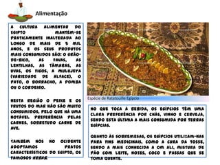      A Mitologia e a ReligiãoComo povo politeísta, os egípcios prestavam culto a vários deuses, e estes variavam de região para região, o que tornava difícil a existência  de uma religião propriamente dita na época do Antigo Egipto.No presente, a situação religiosa do Egipto é bastante diferente, no entanto, existe uma grande variedade de religiões apoiadas. Segundo fontes recentes, 90% dos egípcios são muçulmanos sunitas, 8% são cristãos, e menos de 1% muçulmanos chiita. No Egipto apenas se comemora um Feriado Nacional, no dia 13 de Abril, feriado este denominado “ Festa da Água ”. 