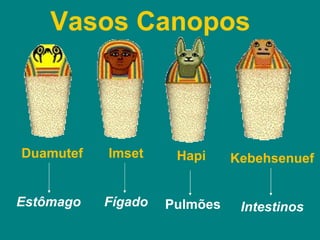 Duamutef Estômago Imset Fígado Hapi Pulmões Kebehsenuef Intestinos Vasos Canopos 