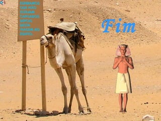 Fim 