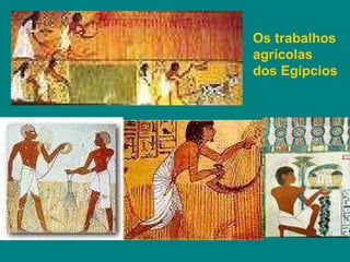 Os trabalhos agrícolas dos Egípcios 