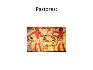 Pastores:
 
