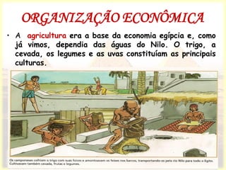 ORGANIZAÇÃO ECONÔMICA
• A agricultura era a base da economia egípcia e, como
já vimos, dependia das águas do Nilo. O trigo, a
cevada, os legumes e as uvas constituíam as principais
culturas.
 