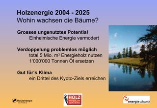 Holzenergie 200 4  - 2025 Wohin wachsen die Bäume? Grosses ungenutztes Potential   Einheimische Energie vermodert Verdoppelung problemlos möglich total 5 Mio. m 3  Energieholz nutzen  1‘000‘000 Tonnen Öl ersetzen Gut für‘s Klima ein Drittel des Kyoto-Ziels erreichen 