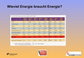 Wieviel Energie braucht Energie? 