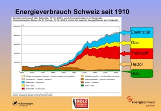 Energieverbrauch Schweiz seit 1910 Treibstoff Gas Elektrizität Heizöl Holz 