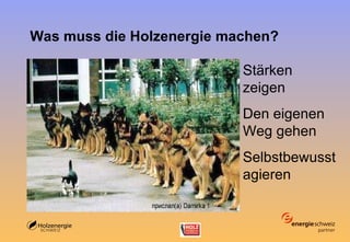 Was muss die Holzenergie machen? Stärken zeigen Den eigenen Weg gehen Selbstbewusst agieren 