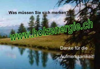 Was müssen Sie sich merken? Erfa-Tagung vom 22.4.2002, Zürich Programm www.holzenergie.ch Danke für die Aufmerksamkeit! 