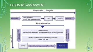 EXPOSURE ASSESSMENT
 