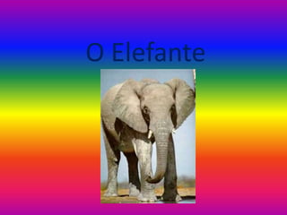 O Elefante 