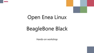Open Enea Linux 
BeagleBone Black 
Hands-on workshop 
 