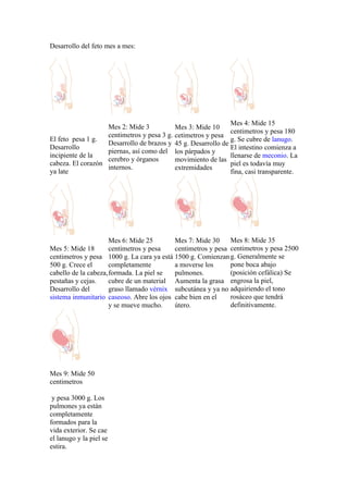 Desarrollo del feto mes a mes:




                                                              Mes 4: Mide 15
                   Mes 2: Mide 3           Mes 3: Mide 10
                                                              centimetros y pesa 180
                   centimetros y pesa 3 g. cetimetros y pesa
El feto pesa 1 g.                                             g. Se cubre de lanugo.
                   Desarrollo de brazos y 45 g. Desarrollo de
Desarrollo                                                    El intestino comienza a
                   piernas, así como del los párpados y
incipiente de la                                              llenarse de meconio. La
                   cerebro y órganos       movimiento de las
cabeza. El corazón                                            piel es todavía muy
                   internos.               extremidades
ya late                                                       fina, casi transparente.




                      Mes 6: Mide 25       Mes 7: Mide 30     Mes 8: Mide 35
Mes 5: Mide 18        centimetros y pesa   centimetros y pesa centimetros y pesa 2500
centimetros y pesa 1000 g. La cara ya está 1500 g. Comienzan g. Generalmente se
500 g. Crece el       completamente        a moverse los      pone boca abajo
cabello de la cabeza, formada. La piel se  pulmones.          (posición cefálica) Se
pestañas y cejas.     cubre de un material Aumenta la grasa engrosa la piel,
Desarrollo del        graso llamado vérnix subcutánea y ya no adquiriendo el tono
sistema inmunitario caseoso. Abre los ojos cabe bien en el    rosáceo que tendrá
                      y se mueve mucho.    útero.             definitivamente.




Mes 9: Mide 50
centimetros

 y pesa 3000 g. Los
pulmones ya están
completamente
formados para la
vida exterior. Se cae
el lanugo y la piel se
estira.
 