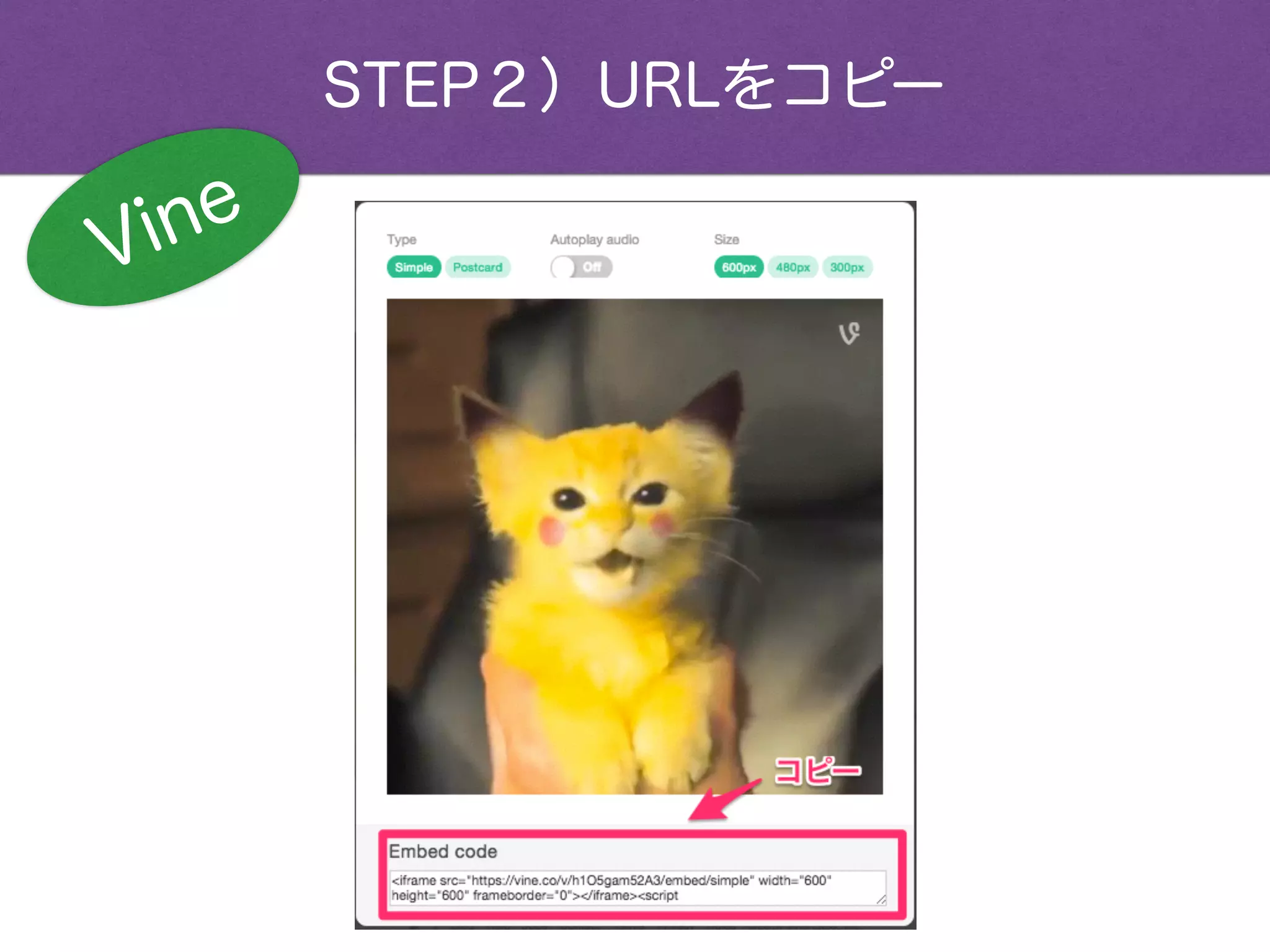 STEP２）URLをコピー
Vine
 