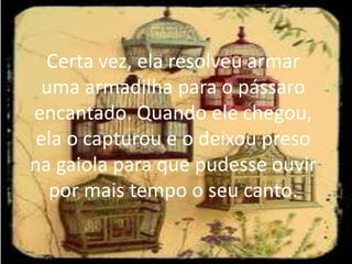 Certa vez, ela resolveu armar
uma armadilha para o pássaro
encantado. Quando ele chegou,
ela o capturou e o deixou preso
na gaiola para que pudesse ouvir
por mais tempo o seu canto.

 