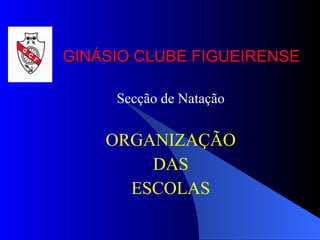 GINÁSIO CLUBE FIGUEIRENSE Secção de Natação ORGANIZAÇÃO DAS ESCOLAS 