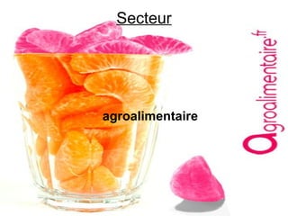 Secteur agroalimentaire 