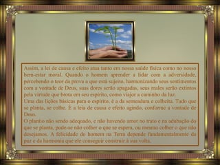 Assim, a lei de causa e efeito atua tanto em nossa saúde física como no nosso
bem-estar moral. Quando o homem aprender a lidar com a adversidade,
percebendo o teor da prova a que está sujeito, harmonizando seus sentimentos
com a vontade de Deus, suas dores serão apagadas, seus males serão extintos
pela virtude que brota em seu espírito, como viajor a caminho da luz.
Uma das lições básicas para o espírito, é a da semeadura e colheita. Tudo que
se planta, se colhe. É a leia de causa e efeito agindo, conforme a vontade de
Deus.
O plantio não sendo adequado, e não havendo amor no trato e na adubação do
que se planta, pode-se não colher o que se espera, ou mesmo colher o que não
desejamos. A felicidade do homem na Terra depende fundamentalmente da
paz e da harmonia que ele conseguir construir à sua volta.
 