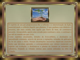 O espírito de seu pai proporcionou-lhe a reflexão e a interiorização da lição,
materializando a colheita daquilo que plantara. O que ganhara com dinheiro e
prazeres, não mais existia, mas aquilo que fizera de bem, ali continuava
presente. Arrependido, queria uma enxada para continuar a arar, e continuar a
ser útil no mundo em que vivia.
Como espíritos encarnados, dotados de livre-arbítrio, e destinados ao
aprendizado constante, através de provas e expiações, oriundas da aplicação
da lei de causa e efeito. Nossas encarnações sucessivas objetivam exercitar
lições que devemos aprender, e correspondentes aos valores essenciais ao
espírito em evolução, e destinam-se a plantar no homem as sementes da
sabedoria, forjando as virtudes eternas para serem utilizadas na obra da
Criação.
 