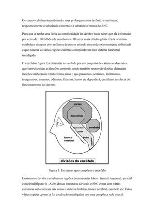 Os corpos celulares (neurônios) e seus prolongamentos (axônio) constituem,
respectivamente a substância cinzenta e a substância branca do SNC.
Para que se tenha uma idéia da complexidade do cérebro basta saber que ele é formado
por cerca de 100 bilhões de neurônios e 10 vezes mais células gliais. Cada neurônio
estabelece sinapses com milhares de outros criando uma rede extremamente sofisticada
e que conecta as várias regiões cerebrais compondo um rico sistema funcional
interligado.
O encéfalo (figura 3) é formado na verdade por um conjunto de estruturas diversas e
que controla todas as funções corporais sendo também responsável pelas chamadas
funções intelectuais. Desta forma, tudo o que pensamos, sentimos, lembramos,
imaginamos, amamos, odiamos, falamos, lemos etc dependerá, em última instância do
funcionamento do cérebro.
Figura 3. Estruturas que compõem o encéfalo
Costuma-se dividir o cérebro em regiões denominadas lobos : frontal, temporal, parietal
e occipital(figura 4) . Além dessas estruturas corticais o SNC conta com várias
estruturas sub-corticais tais como o sistema límbico, tronco cerebral, cerebelo etc. Estas
várias regiões ,como já foi citado,são interligadas por uma complexa rede neural.
 