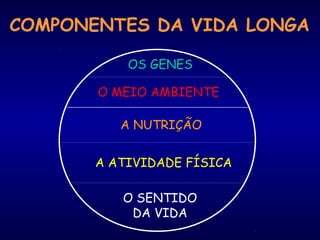 COMPONENTES DA VIDA LONGA 
OS GENES 
O MEIO AMBIENTE 
A NUTRIÇÃO 
A ATIVIDADE FÍSICA 
O SENTIDO 
DA VIDA 
 