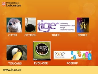 OTTER       OSTRICH          TIGER        SPIDER




    TOUCANS
   TOUCANS           EVOL-OER
                    EVOL-OER            POERUP
                                        POERUP
www.le.ac.uk
 