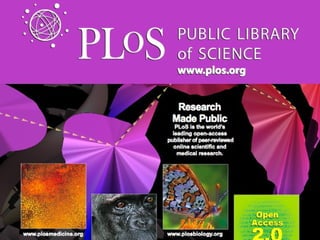 Facilitating a Digital Commons for Generations to Come