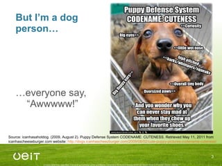 But I’m a dog person… … everyone say,  “ Awwwww! ” Source: icanhasahotdog. (2009, August 2).  Puppy Defense System CODENAME: CUTENESS . Retrieved May 11, 2011 from icanhascheeseburger.com website:  http://dogs.icanhascheezburger.com/2009/08/02/cute-puppy-pictures-codename-cuteness/   