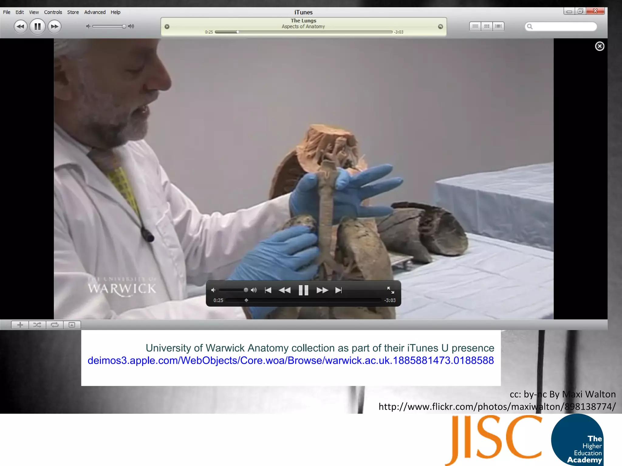 cc: by-nc By Maxi Walton http://www.flickr.com/photos/maxiwalton/898138774/ University of Warwick Anatomy collection as part of their iTunes U presence deimos3.apple.com/WebObjects/Core.woa/Browse/warwick.ac.uk.1885881473.01885881478.1882421734?i=2066269580   