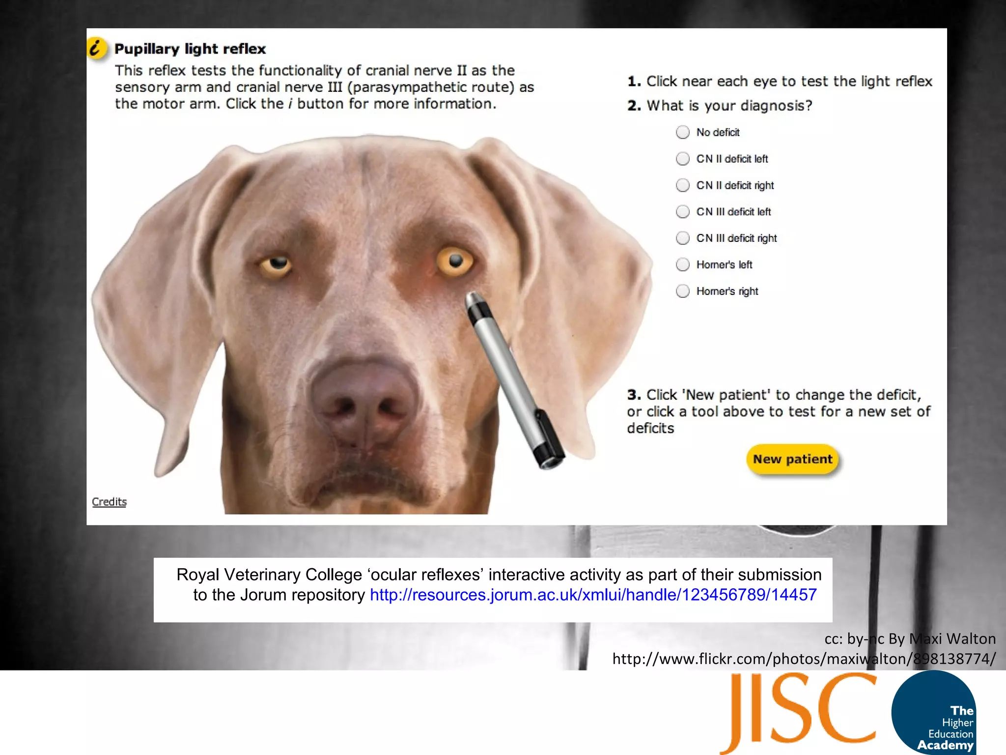cc: by-nc By Maxi Walton http://www.flickr.com/photos/maxiwalton/898138774/ Royal Veterinary College ‘ocular reflexes’ interactive activity as part of their submission to the Jorum repository  http://resources.jorum.ac.uk/xmlui/handle/123456789/14457   