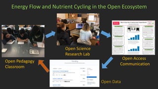 Open Pedagogy
Classroom
Open Science
Research Lab
Open Access
Communication
Open Data
Energy Flow and Nutrient Cycling in the Open Ecosystem
 