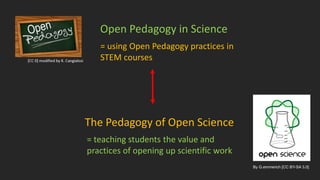 The Pedagogy of Open Science
Open Pedagogy in Science
By G.emmerich [CC BY-SA 3.0]
= teaching students the value and
practices of opening up scientific work
= using Open Pedagogy practices in
STEM courses
 