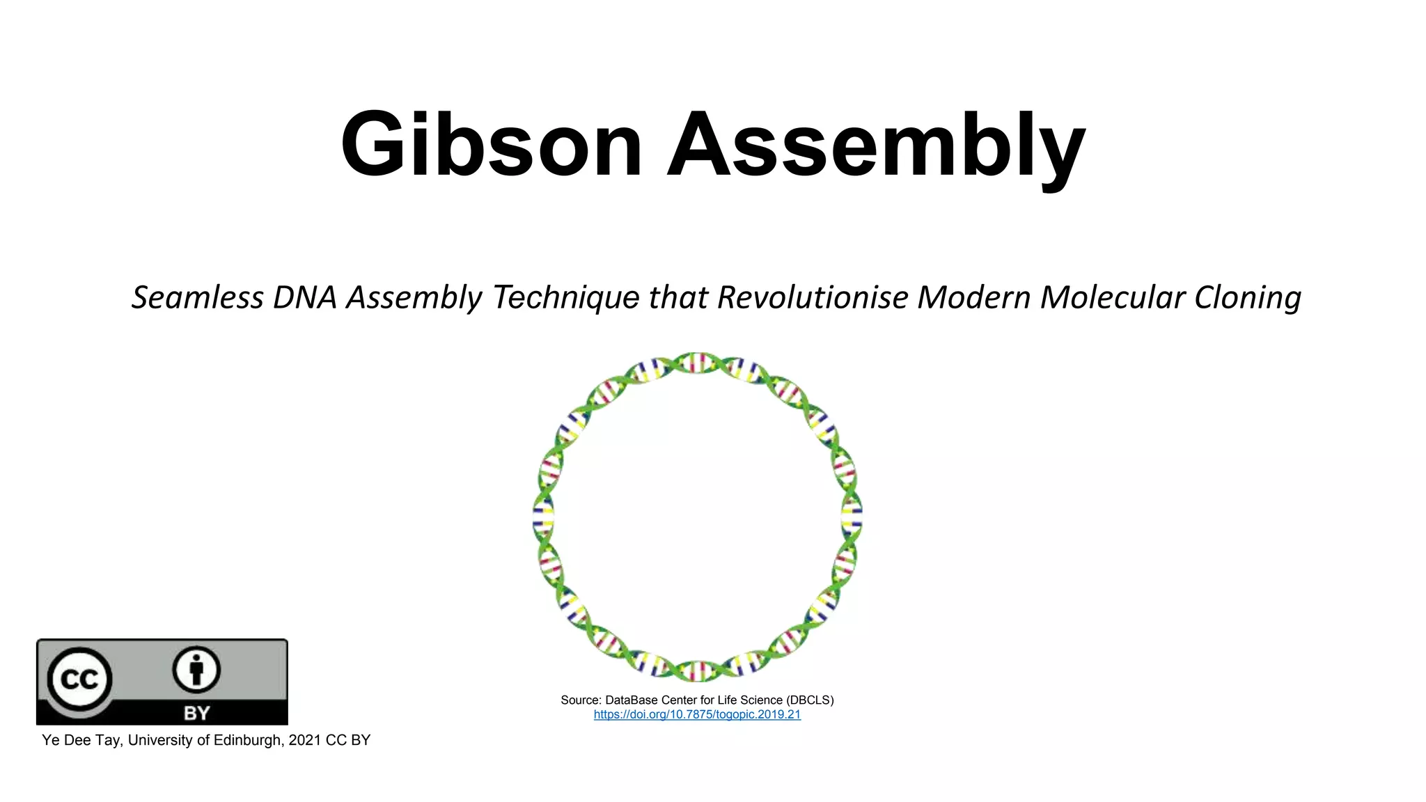 Gibson Assembly a seamless molecular cloning technique PPT