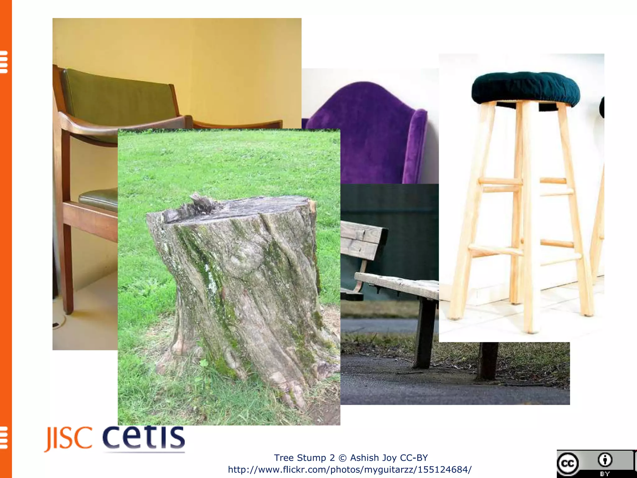 Tree Stump 2 © Ashish Joy CC-BY
http://www.flickr.com/photos/myguitarzz/155124684/
 