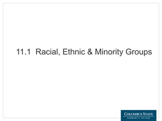 11.1 Racial, Ethnic & Minority Groups
 
