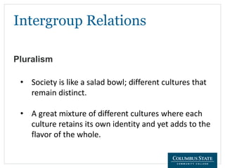 Intergroup Relations
Pluralism
• Society is like a salad bowl; different cultures that
remain distinct.
• A great mixture of different cultures where each
culture retains its own identity and yet adds to the
flavor of the whole.
 