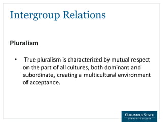 Intergroup Relations
Pluralism
• True pluralism is characterized by mutual respect
on the part of all cultures, both dominant and
subordinate, creating a multicultural environment
of acceptance.
 