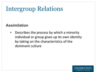 Intergroup Relations
Assimilation
• Describes the process by which a minority
individual or group gives up its own identity
by taking on the characteristics of the
dominant culture
 