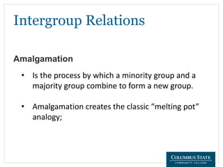 Intergroup Relations
Amalgamation
• Is the process by which a minority group and a
majority group combine to form a new group.
• Amalgamation creates the classic “melting pot”
analogy;
 