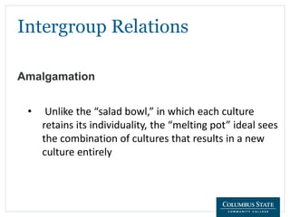 Intergroup Relations
Amalgamation
• Unlike the “salad bowl,” in which each culture
retains its individuality, the “melting pot” ideal sees
the combination of cultures that results in a new
culture entirely
 