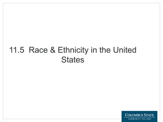 11.5 Race & Ethnicity in the United
States
 