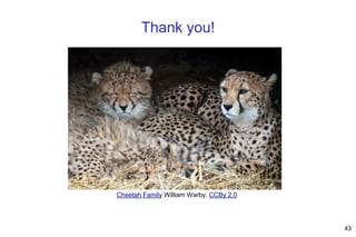 Cheetah Family William Warby. CCBy 2.0
43
Thank you!
 