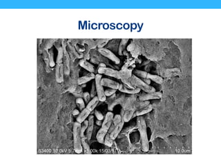 Microscopy
 