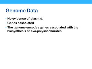 Genome Data
• No evidence of plasmid.
• Genes associated
• The genome encodes genes associated with the
biosynthesis of exo-polysaccharides.
 