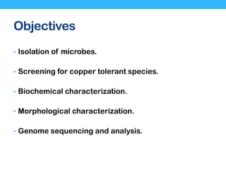 Objectives
• Isolation of microbes.
• Screening for copper tolerant species.
• Biochemical characterization.
• Morphological characterization.
• Genome sequencing and analysis.
 