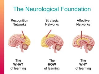 The Neurological Foundation 
Recognition 
Networks 
Strategic 
Networks 
Affective 
Networks 
The 
WHAT 
of learning 
The 
HOW 
of learning 
The 
WHY 
of learning 
 