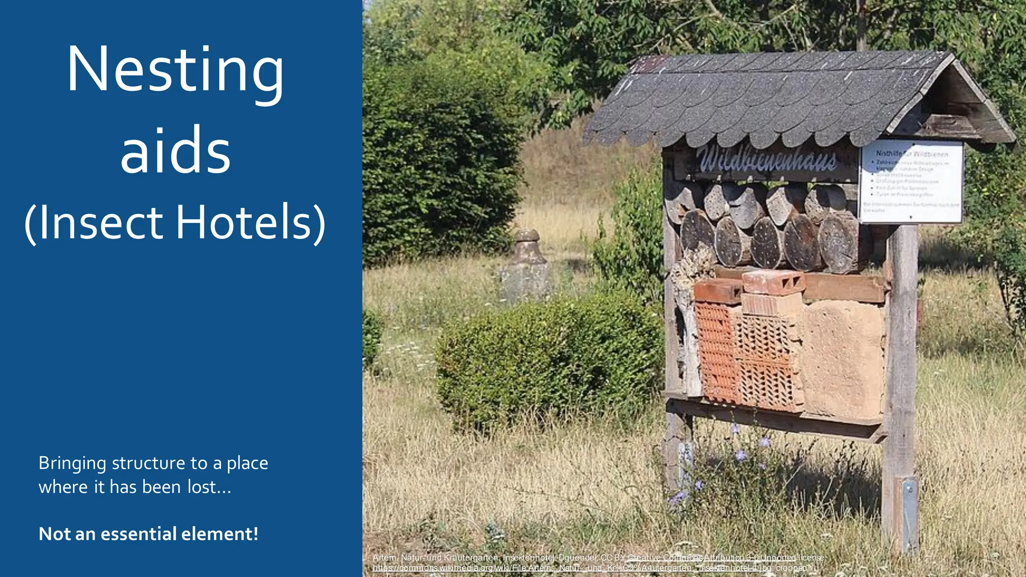 Nesting
aids
(Insect Hotels)
Bringing structure to a place
where it has been lost…
Not an essential element!
Artern, Natur- und Kräutergarten, Insektenhotel; Dguendel; CC BY Creative CommonsAttribution 3.0 Unported license;
https://commons.wikimedia.org/wiki/File:Artern,_Natur-_und_Kr%C3%A4utergarten,_Insektenhotel-1.jpg; cropped
 