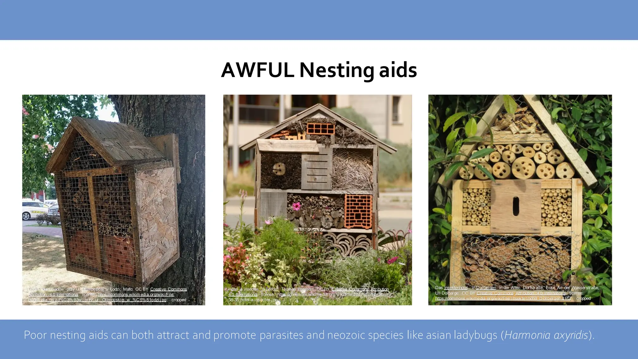 AWFUL Nesting aids
Poor nesting aids can both attract and promote parasites and neozoic species like asian ladybugs (Harmonia axyridis).
Budka dla owadów przy ul. Olimpijskiej w Łodzi; Mafo; CC BY Creative Commons
Attribution 4.0 International license; https://commons.wikim edi a.org/wiki /File:
Budka_dla_owad%C3%B3w_przy_ul._Olimpijskiej_w_%C5%81odzi.jpg; cropped
Das Insektenhotel in Dollbergen in der Alten Dorfstraße, Ecke An der Wasserstraße;
Uli Dolbarge; CC BY Creative Commons Attribution 4.0 International license;
https://commons.wikimedia.or g/wiki/File:Insektenhotel_D ollbergen.JPG; cropped
Hôtel à insectes, à Belfort; Thomas Bresson; CC BY Creative Commons Attribution
4.0 International license; https://commons.wikimedia.org/wiki/File:2017-07-12_15-
38-35_hotel-a-insectes.jpg
 